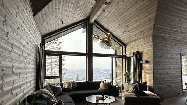 A modern living room with a large window, a sofa, a coffee table, and a potted plant.