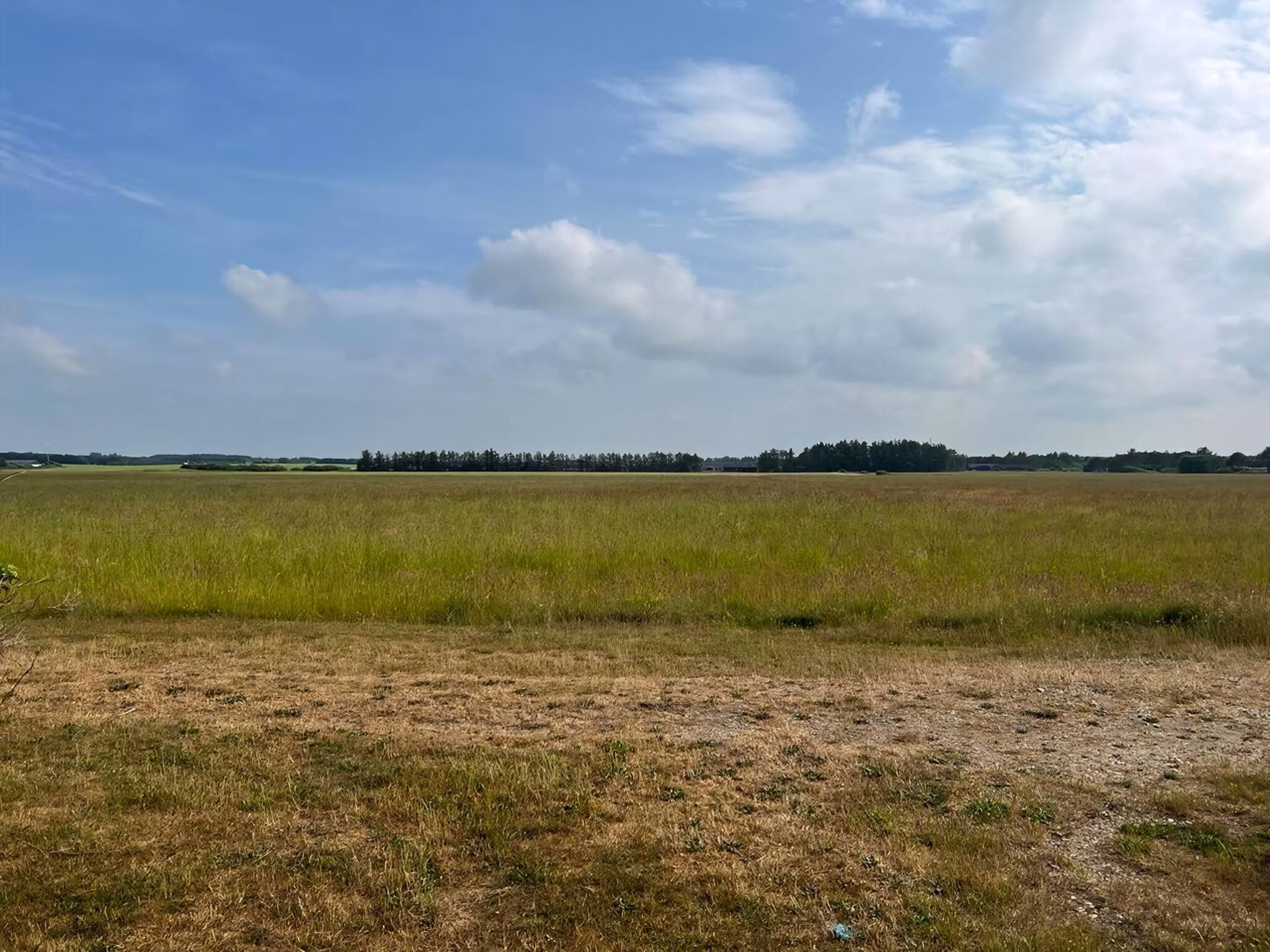 A wide-open field with a distant tree line under a clear sky.