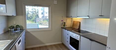 Fridge, oven, dishwasher, coffee/tea maker