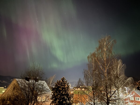 Une vue nocturne d’une ville, avec des maisons et un arbre au premier plan.