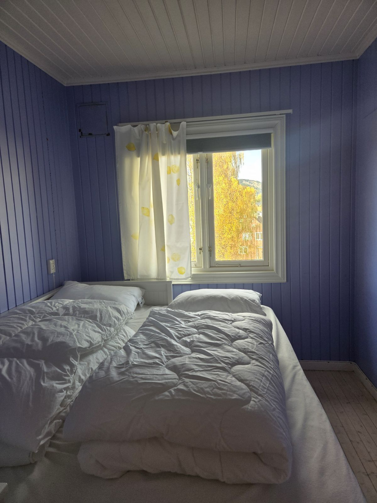 Een slaapkamer met twee bedden, een raam met gordijnen en uitzicht op bomen.
