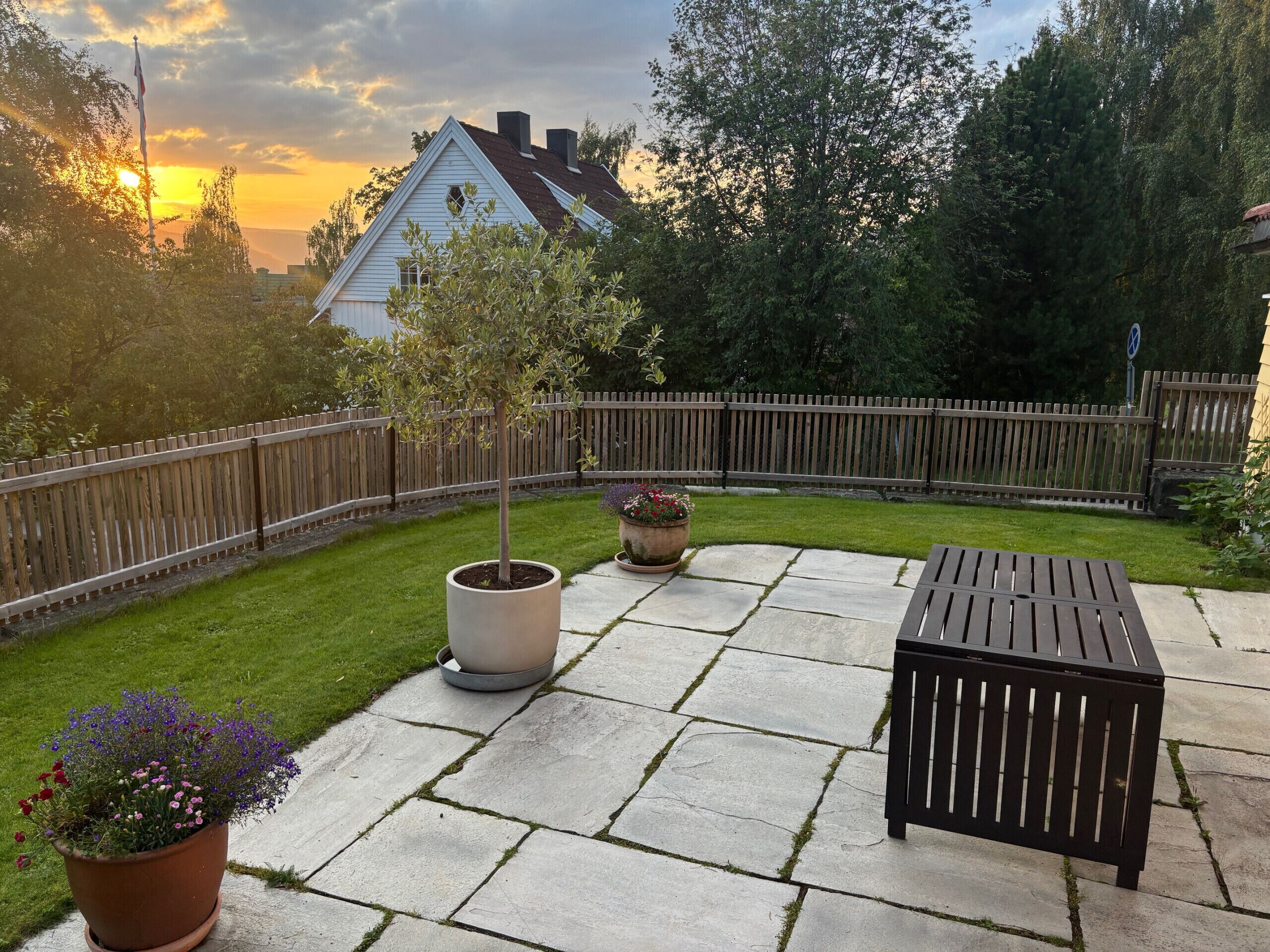 Eine Terrasse mit Holztisch und Stühlen, einem Blumentopf und Blick auf ein Haus im Hintergrund.