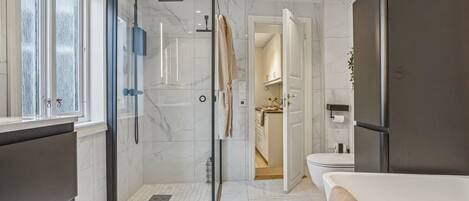 Shower, hair dryer, towels