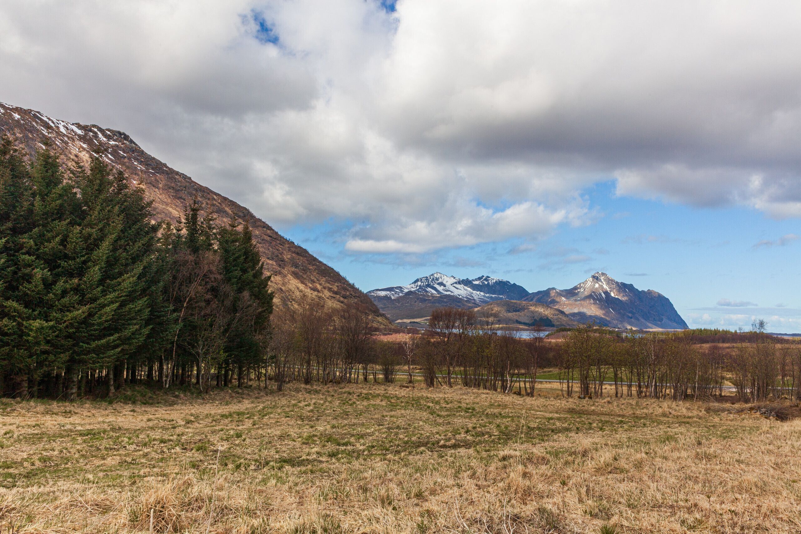 A mountainous landscape with a field in the foreground and a mountain range in the background.