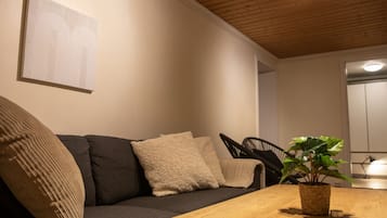 Télévision