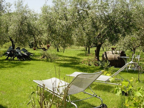Olive Tree Hill Cottage | Peaceful Countryside Retreat Near Rome