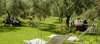 Olive Tree Hill Cottage | Peaceful Countryside Retreat Near Rome