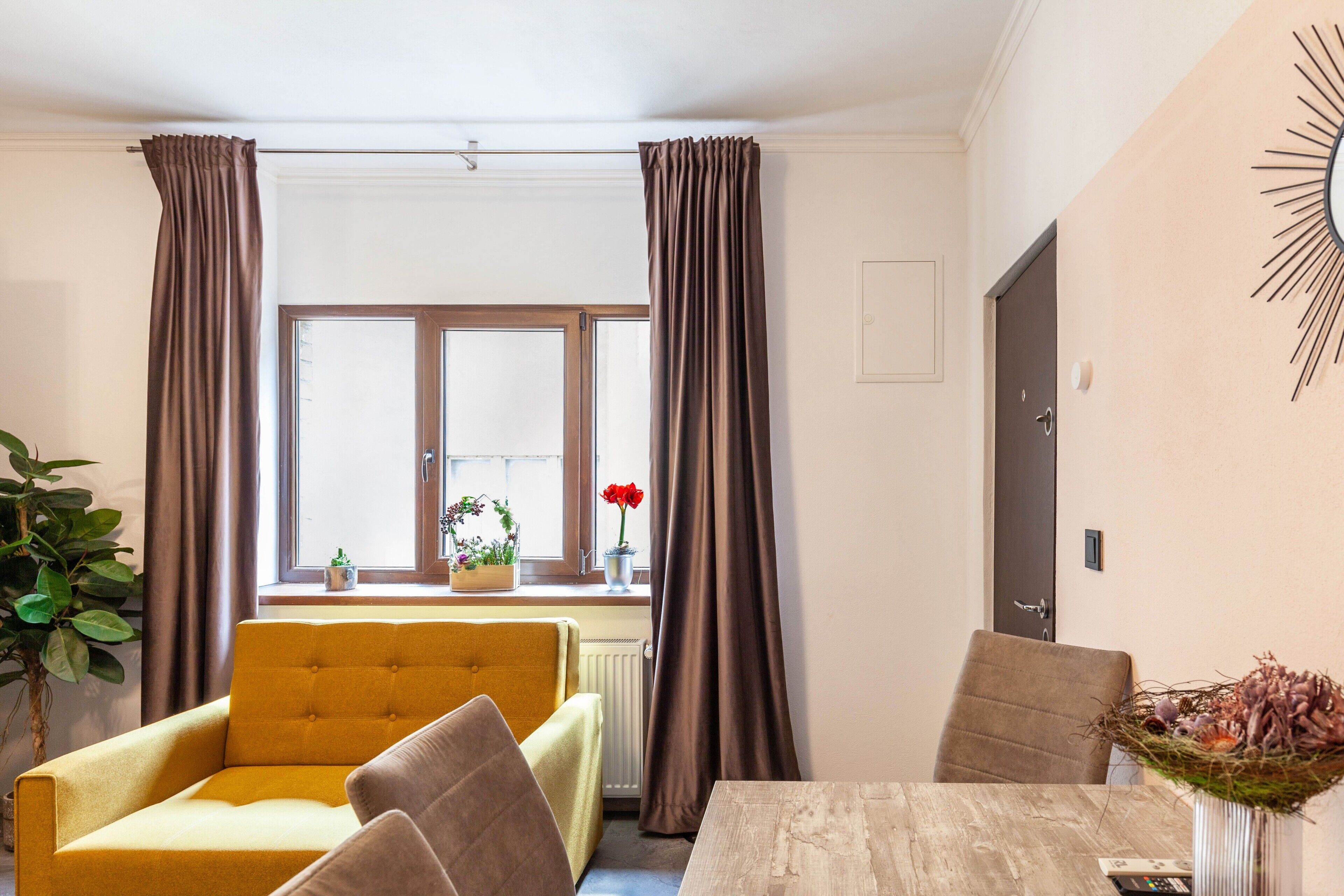 A room with a sofa, a dining table, a window with curtains, a potted plant, and a wall-mounted decoration.