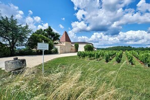 Ein Weinberg mit Reihen von Reben, ein Gebäude mit rotem Dach und ein Schild mit der Aufschrift 'CHÂTEAU COUCY'.
