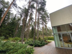 Un bâtiment moderne à la façade vitrée, entouré d’une zone boisée avec de grands arbres et doté d’une terrasse en bois.