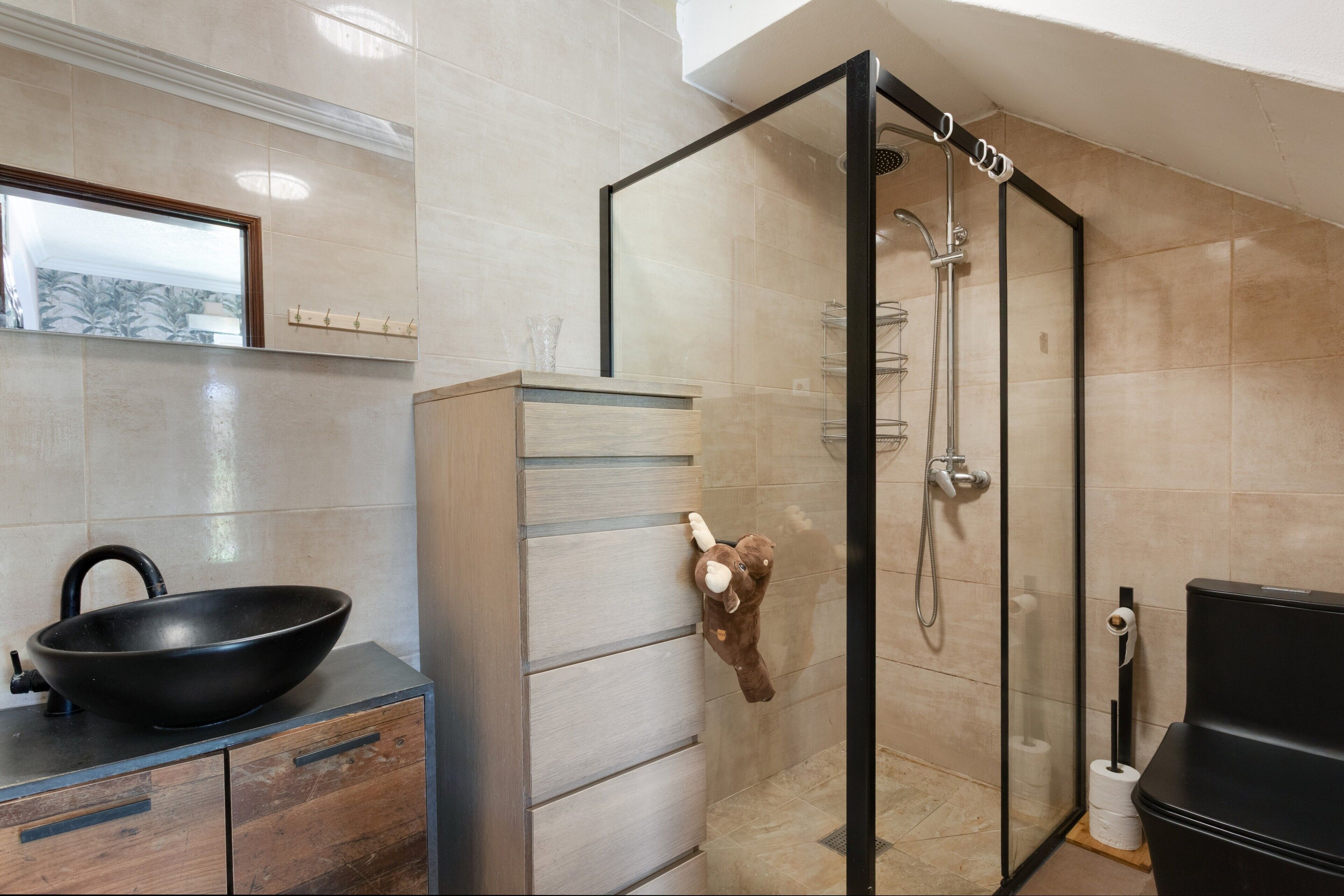 Shower, hair dryer, towels