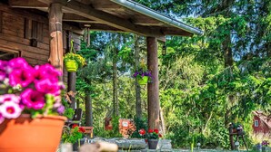 Eine Holzhütte mit Veranda, umgeben von üppigem Grün und Topfpflanzen.