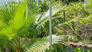 Estrutura metálica em meio a vegetação exuberante, provavelmente parte de um jardim ou área externa.