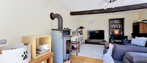 A living room with a fireplace, a sofa, a television, and a bookshelf.