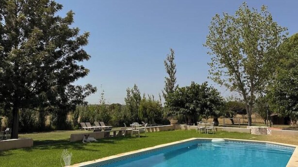 Une piscine entourée d’arbres, avec des chaises longues, sous un ciel dégagé.