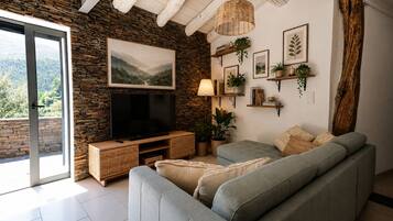 Una Smart TV, una chimenea, libros