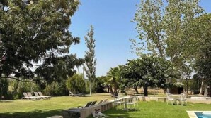 Un espacio al aire libre con césped, sillas de descanso y una piscina.