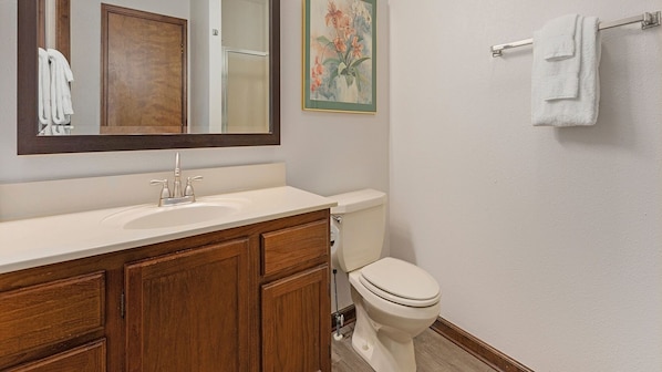 Jetted tub, hair dryer, towels