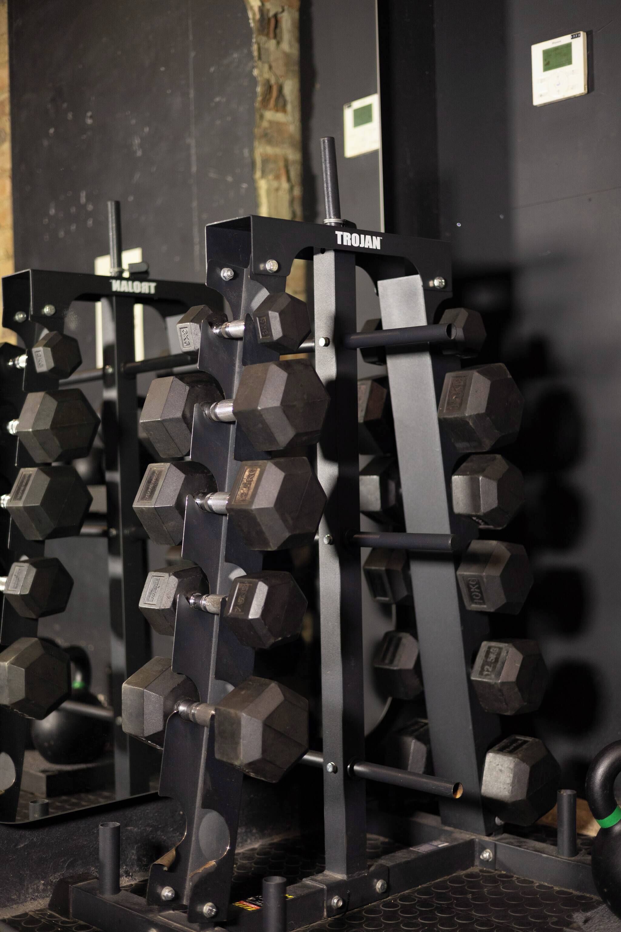 A weightlifting rack with multiple hexagonal dumbbells, a 'TROJAN' label, and a 'HALDT' brand.