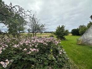 A rural landscape with a grassy field, a stone wall, and flowering plants. - 4 Star Holiday Home in Sejero (Sejero)