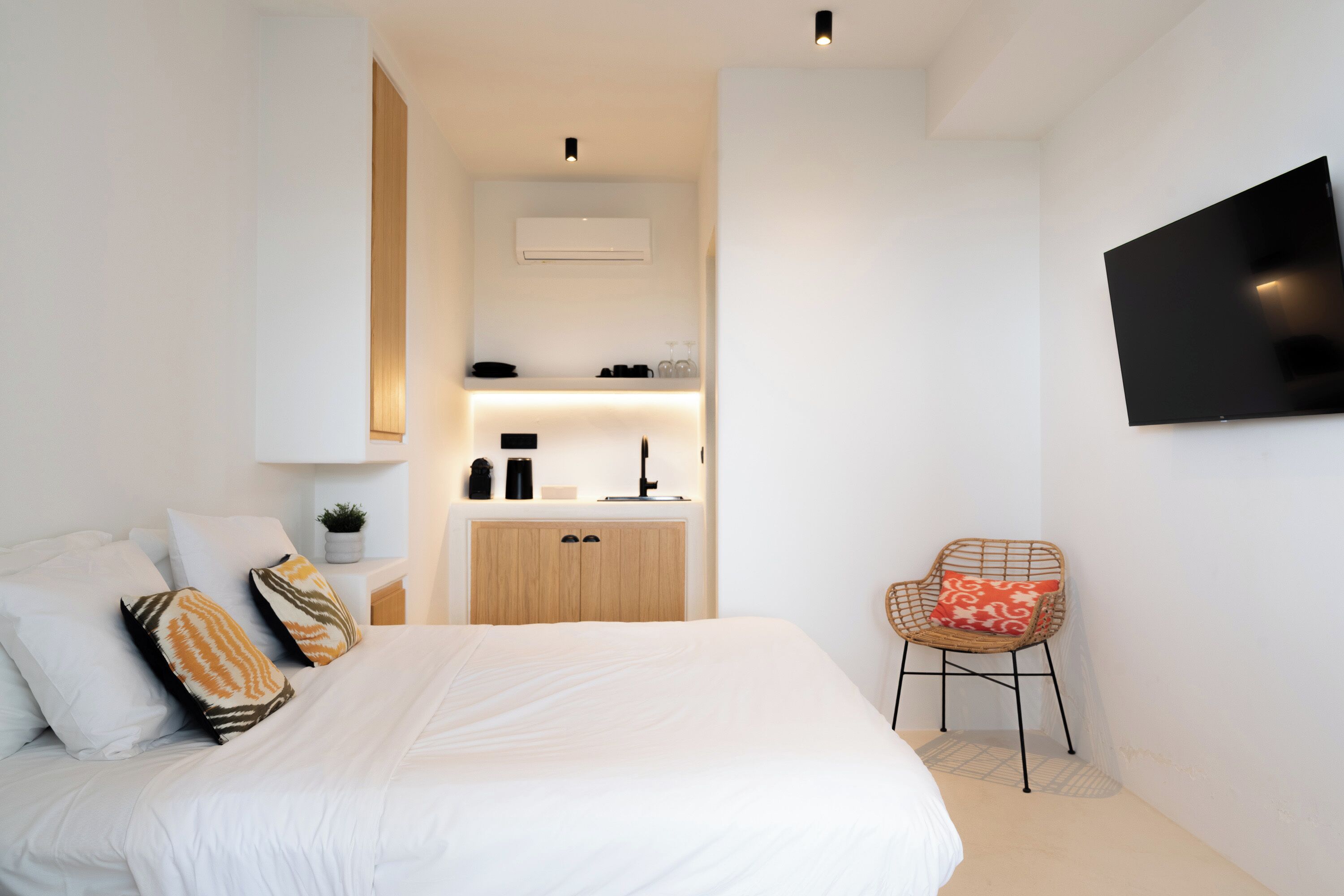 Un dormitorio con cama, una silla, televisor, kitchenette y una planta pequeña.