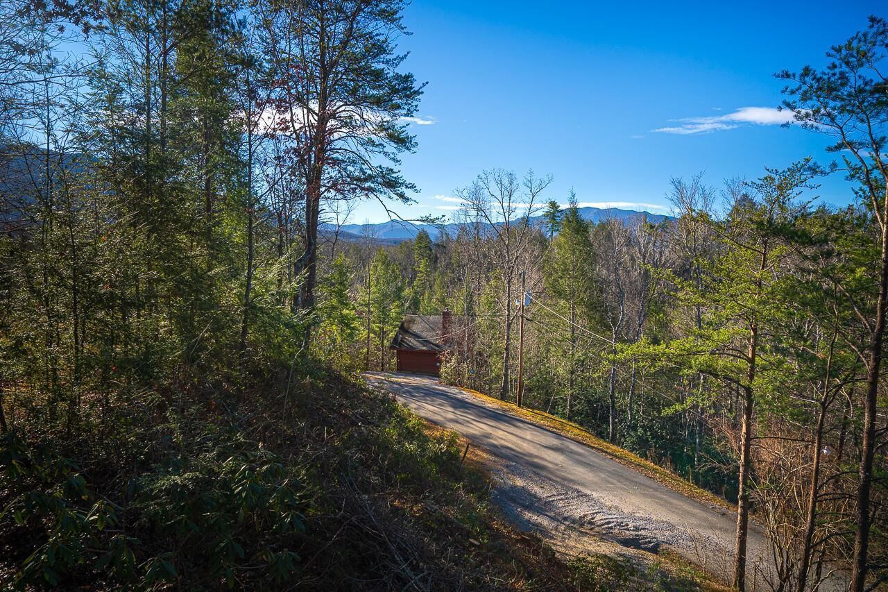 A forested area with a dirt road leading to a cabin.