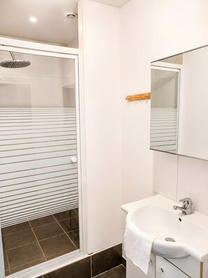 Une salle de bain avec une douche, un lavabo et un miroir.