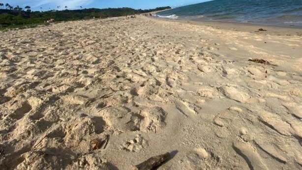 Une plage de sable avec des empreintes, un ciel dégagé et une mer calme.