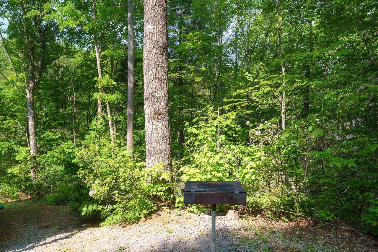 A mailbox in a forested area.