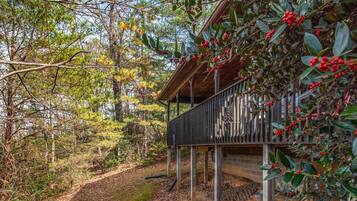 A wooden deck with a railing, surrounded by trees and foliage.