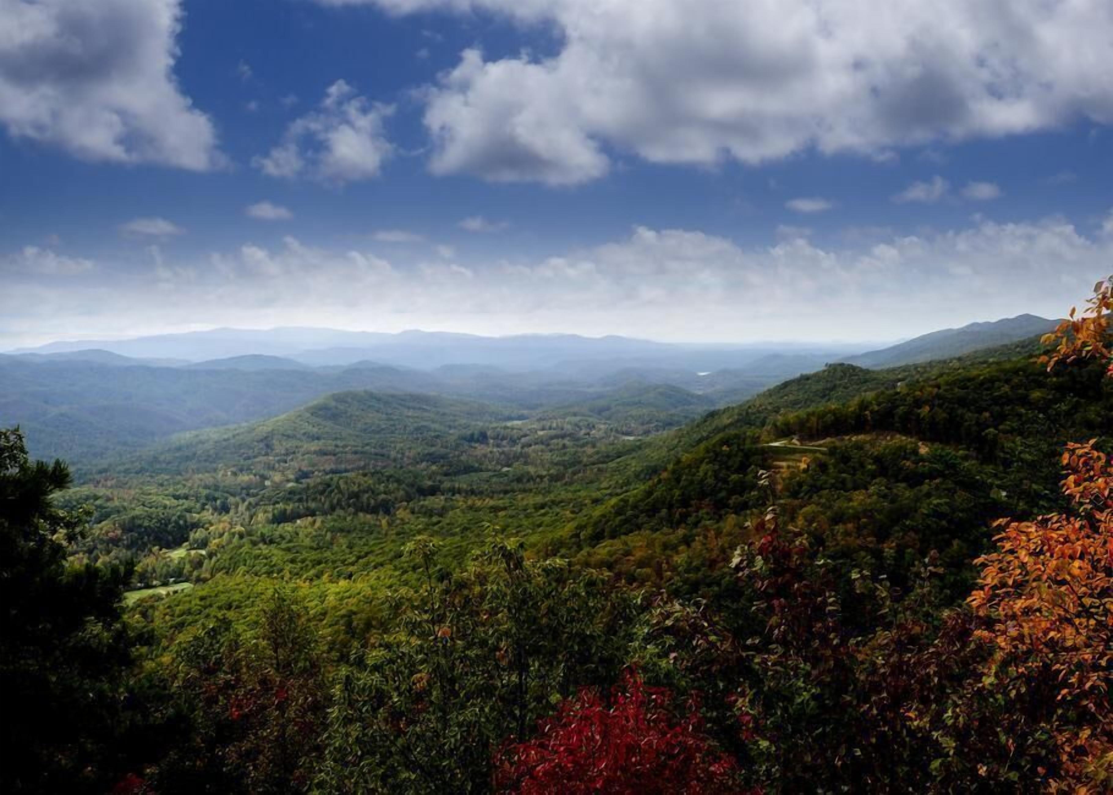 Casa, varias camas (Black Bear Lookout) | Imagen general
