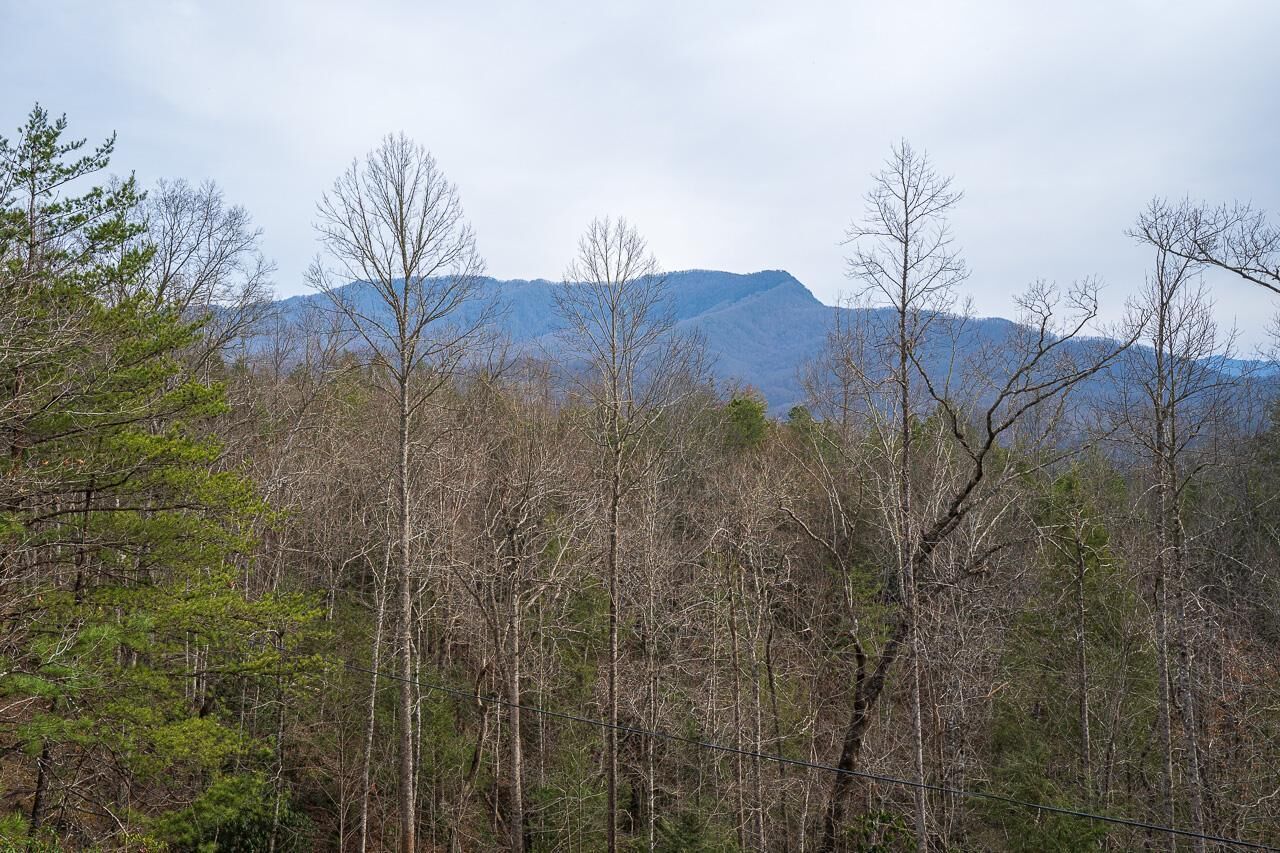 A forested landscape with a mountain range in the background.