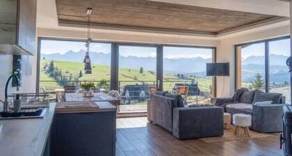 Large holiday villa with sauna and mountain views