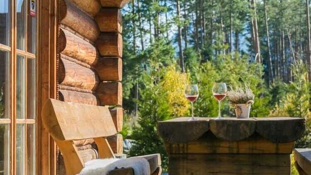 Una baita di legno con rivestimento in legno, una finestra e un tavolo con due bicchieri di vino rosso e una pianta in vaso.