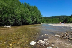 A river with clear water, surrounded by dense green trees, and a sandy beach area with rocks.