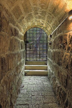 A stone staircase leading to a barred window in a tunnel-like structure. - Villa del Prete by Casa di Marco (Nardò)