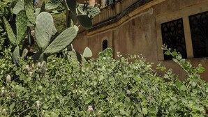 Un edificio histórico con una torre, ventanas de arco y un balcón con barandillas ornamentales.
