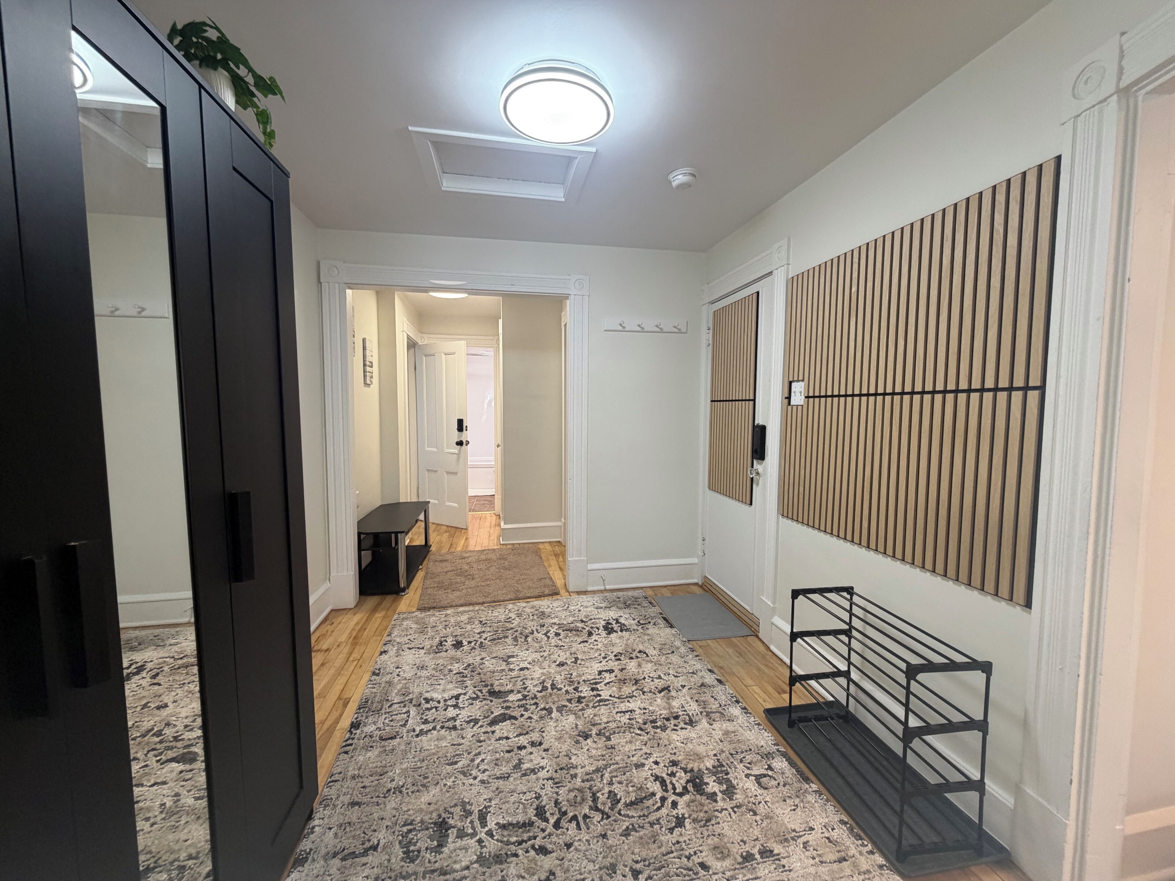 A hallway with a patterned rug, a bench, a plant, and a wall-mounted rack.