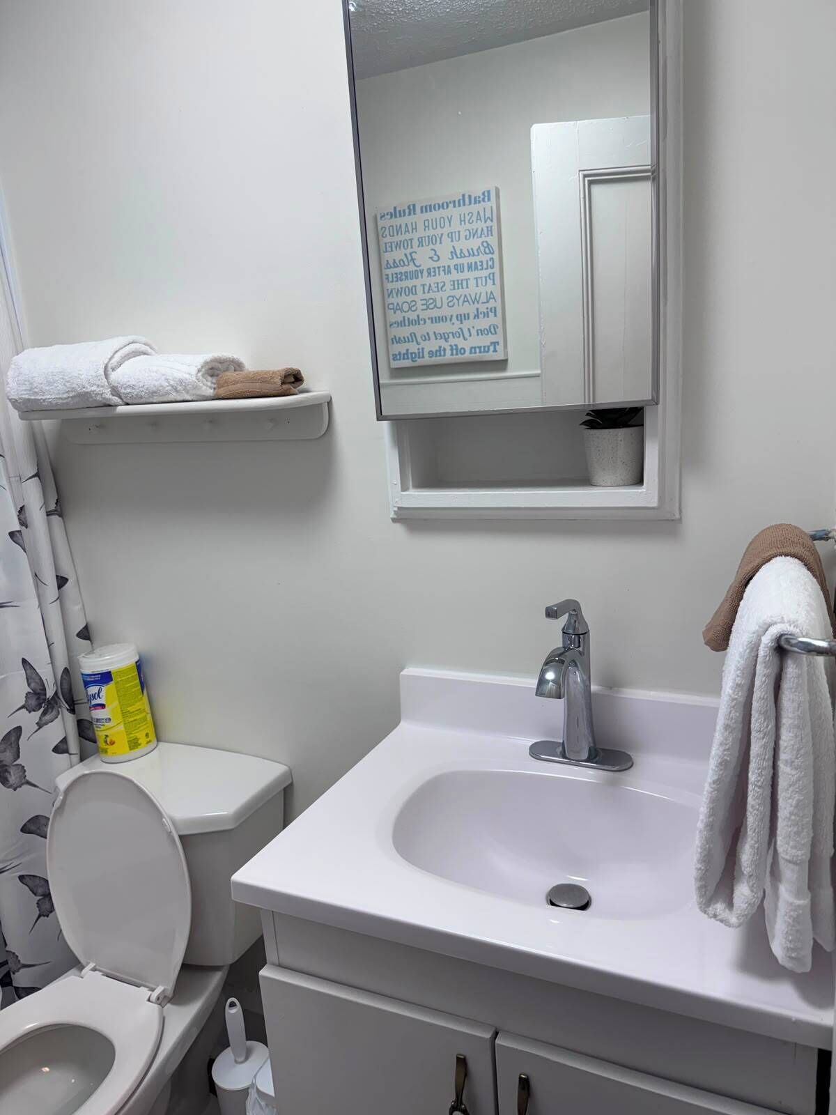 Hair dryer, towels, soap, toilet paper