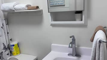 Hair dryer, towels, soap, toilet paper