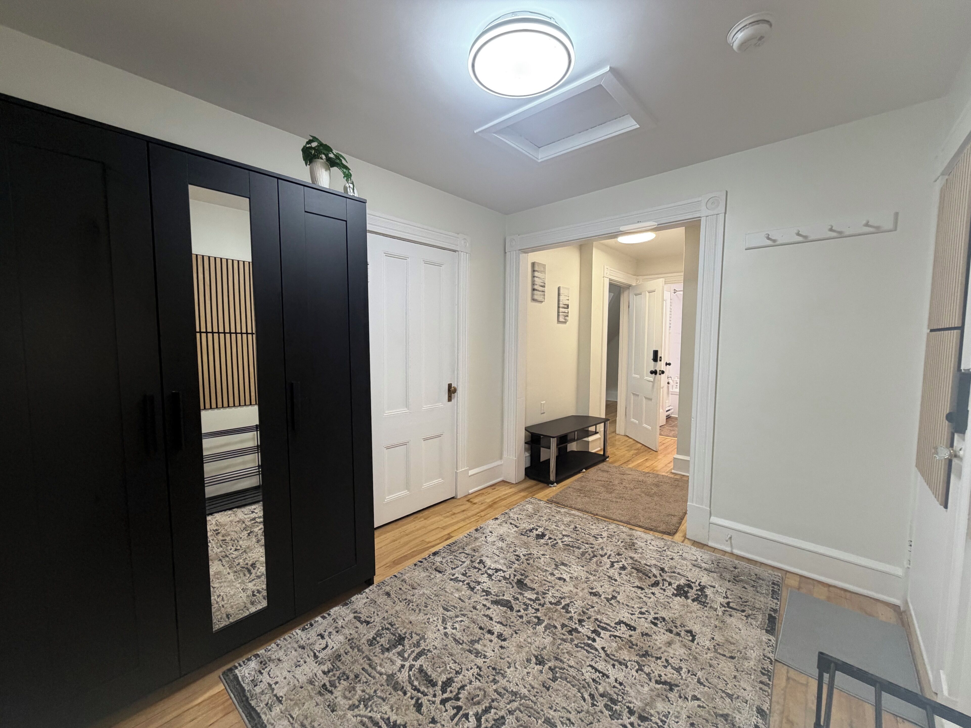 A hallway with a dark wardrobe, a patterned rug, and a white door leading to another room.