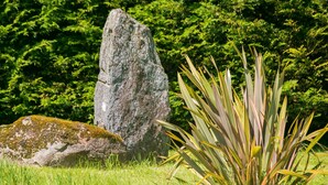A large rock formation, a grassy area, and a plant with long leaves. - Swn y Mor Bach - sleeps 6 guests  in 3 bedrooms (Criccieth)