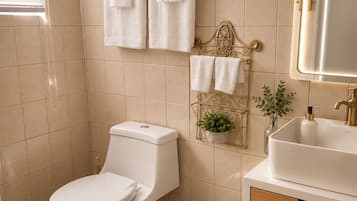 Shower, towels, soap, toilet paper