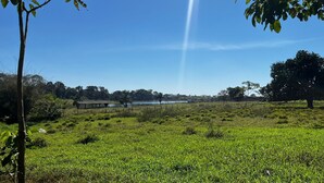 Een begroeid veld met een picknicktafel en een grote boom.