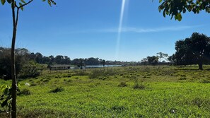 Een begroeid veld met een picknicktafel en een grote boom.