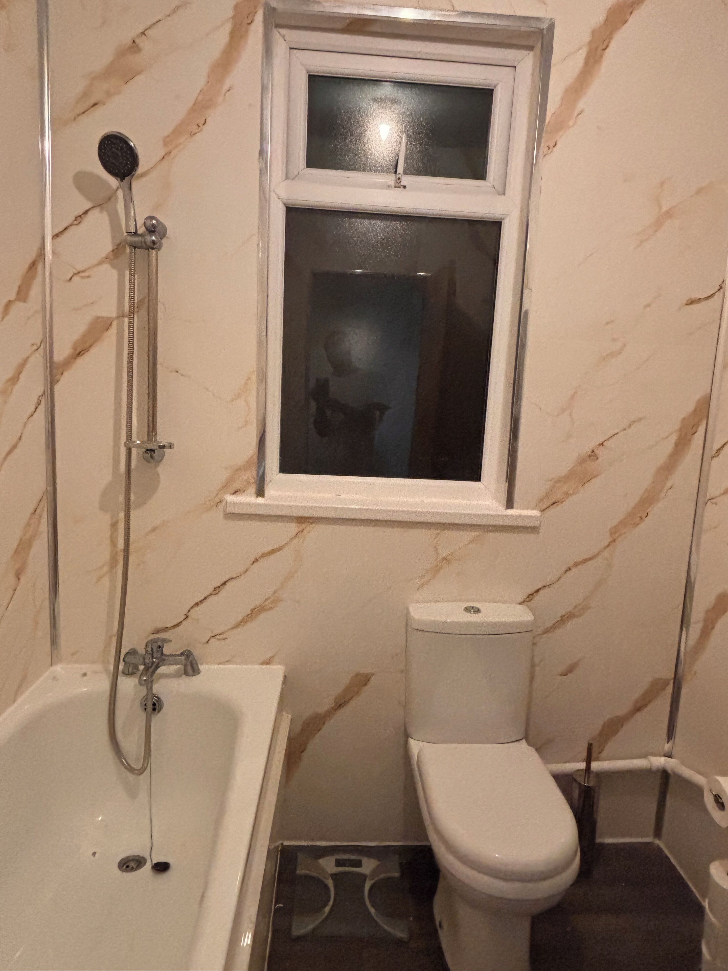 Shower, towels, toilet paper