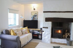 Ein gemütliches Wohnzimmer mit einer Couch, einem Fernseher, einem Kamin und einem Bücherregal.