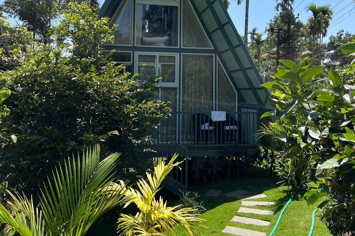 A triangular-shaped house with a balcony, surrounded by lush greenery and palm trees.