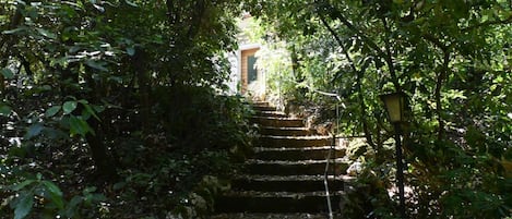 Parco della struttura