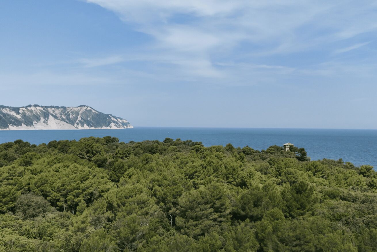 منوع